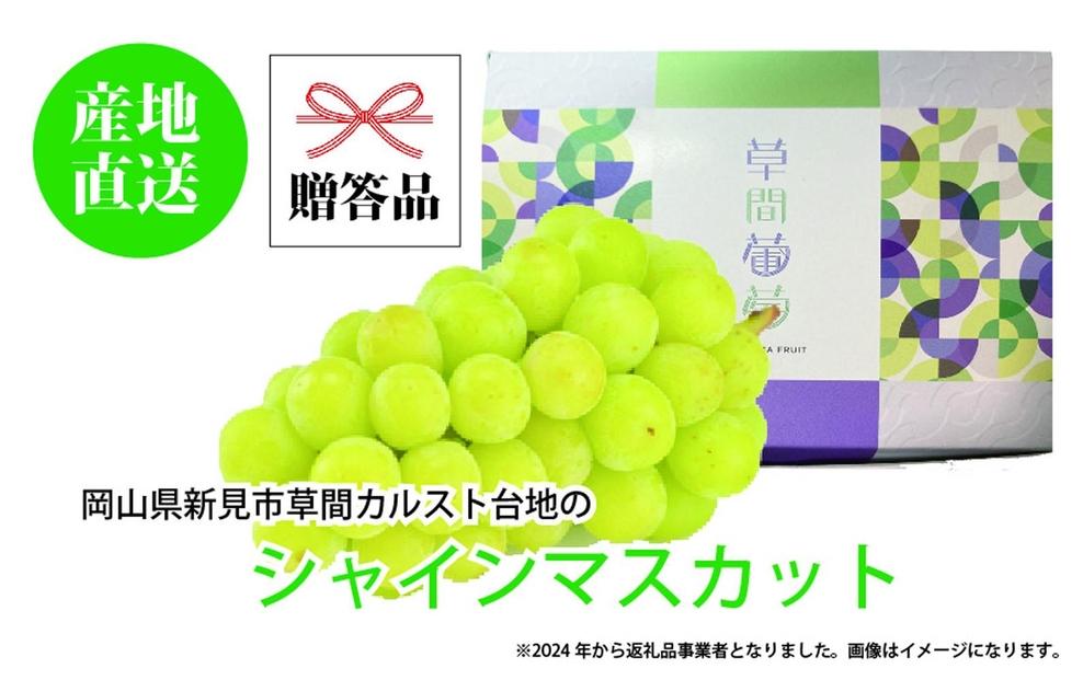 ぶどう&nbsp;2025年&nbsp;先行予約&nbsp;カルスト台地で育ったシャインマスカット（１房）【ギフト用】&nbsp;|&nbsp;フルーツ&nbsp;果物&nbsp;くだもの&nbsp;葡萄&nbsp;ブドウ&nbsp;ぶどう&nbsp;シャインマスカット&nbsp;マスカット&nbsp;ギフト&nbsp;贈答用&nbsp;プレゼント&nbsp;岡山&nbsp;岡山県産&nbsp;国産&nbsp;フルーツ&nbsp;果物&nbsp;くだもの&nbsp;シャインマスカット&nbsp;マスカット