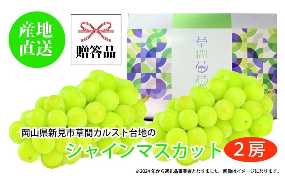 ぶどう&nbsp;2025年&nbsp;先行予約&nbsp;カルスト台地で育ったシャインマスカット（２房）【ギフト用】|&nbsp;フルーツ&nbsp;果物&nbsp;くだもの&nbsp;葡萄&nbsp;ブドウ&nbsp;ぶどう&nbsp;シャインマスカット&nbsp;マスカット&nbsp;ギフト&nbsp;贈答用&nbsp;プレゼント&nbsp;岡山&nbsp;岡山県産&nbsp;国産&nbsp;フルーツ&nbsp;果物&nbsp;くだもの&nbsp;シャインマスカット&nbsp;マスカット