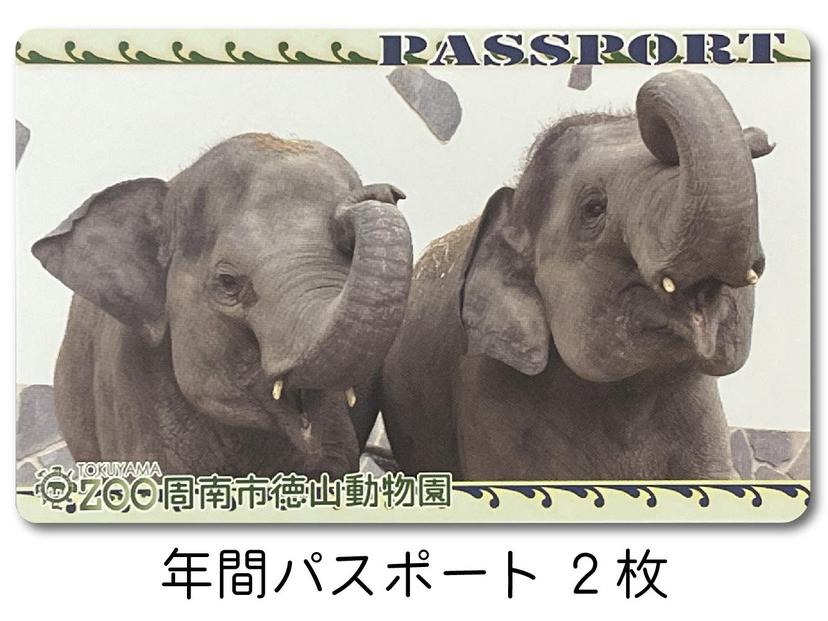 周南市徳山動物園年間パスポート（2枚）