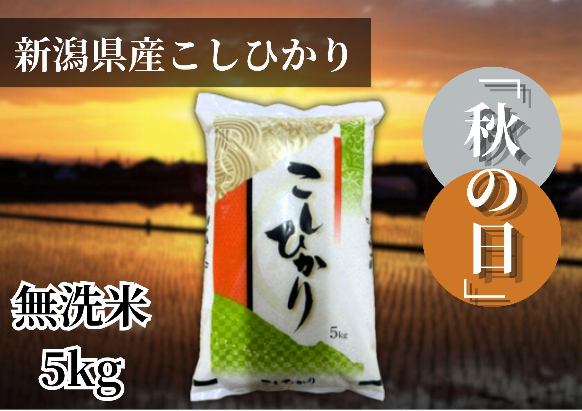 【令和6年産&nbsp;】新潟県産こしひかり「秋の日」（無洗米5kg）新潟県の美味しいお米。