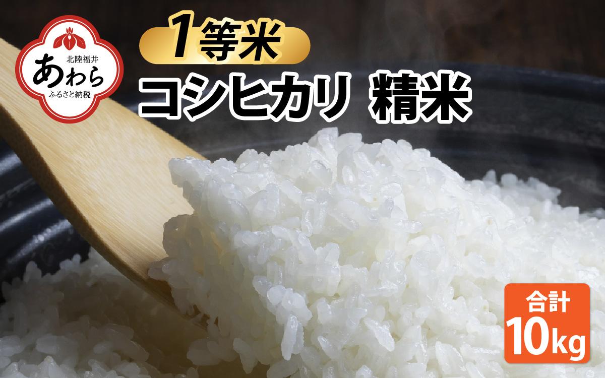 【先行予約】【令和6年産】【一等米】コシヒカリ 精米 10kg ／ 一等米 福井県産 ブランド米 ご飯 白米 お米 コメ 新鮮 新米 ※2024年10月中旬より順次発送