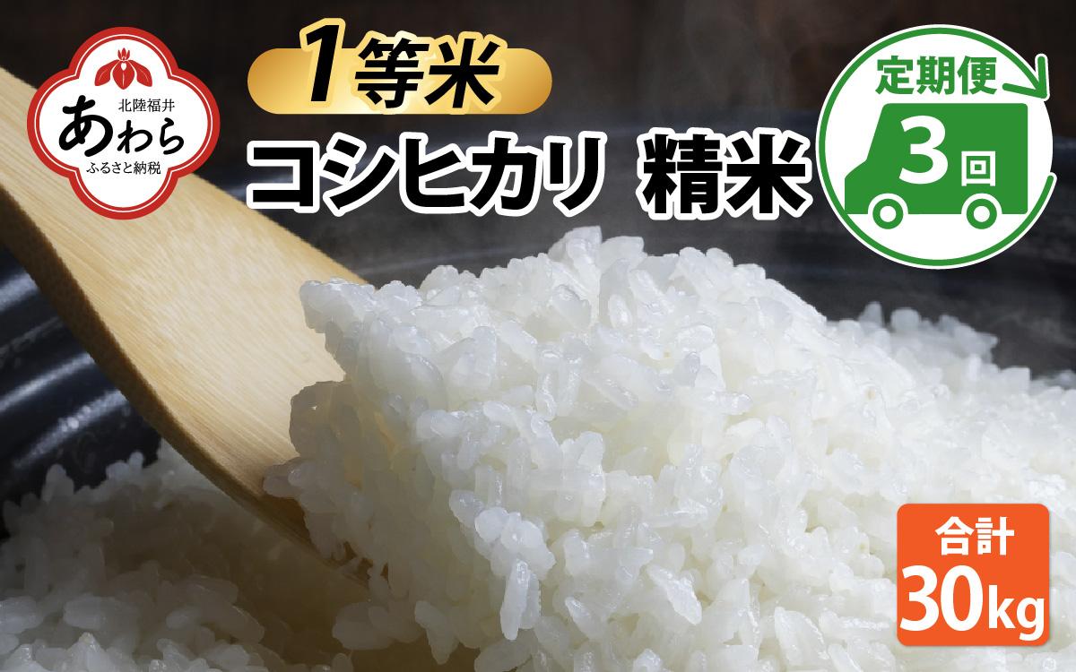 【先行予約】【令和6年産】【一等米】コシヒカリ 精米 10kg 3回定期便（合計30kg） ／ 一等米 福井県産 ブランド米 ご飯 白米 お米 コメ 新鮮 新米 ※2024年10月中旬より順次発送