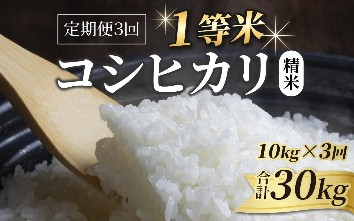 先行予約】【令和6年産】【一等米】コシヒカリ 精米 10kg 3回定期便（合計30kg） ／ 一等米 福井県産 ブランド米 ご飯 白米 お米 コメ  新鮮 新米 ※2024年10月中旬より順次発送 | JTBのふるさと納税サイト [ふるぽ]