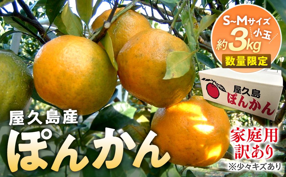 2025年 屋久島産 ぽんかん 家庭用 訳あり 約3kg 小玉(S～Mサイズ・少々キズあり)＜先行予約／数量限定＞