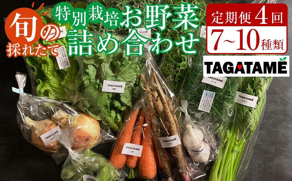 【定期便全4回】旬の採れたて 7～10種類お野菜詰め合わせセット TAGATAME タガタメ【野菜 特別栽培 栽培期間中農薬不使用 採れたて 香川県 さぬき市】