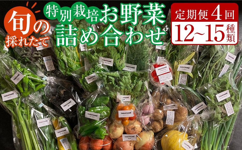 【定期便全4回】旬の採れたて 12～15種類お野菜詰め合わせセット TAGATAME タガタメ【野菜 特別栽培 大容量 栽培期間中農薬不使用 旬 採れたて 香川県 さぬき市】