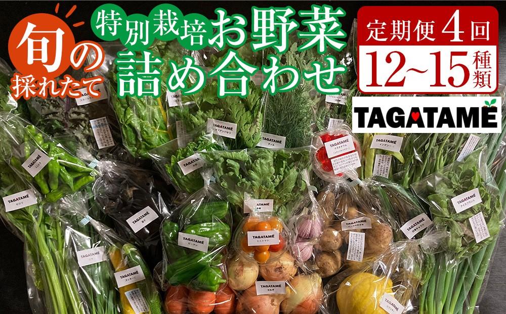 【定期便全4回】旬の採れたて 12～15種類お野菜詰め合わせセット TAGATAME タガタメ【野菜 特別栽培 大容量 栽培期間中農薬不使用 旬 採れたて 香川県 さぬき市】