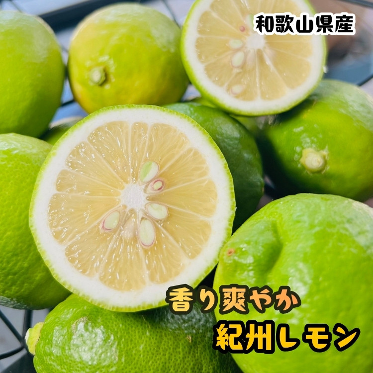 農家直送&nbsp;紀州&nbsp;レモン&nbsp;約2kg［MS94］