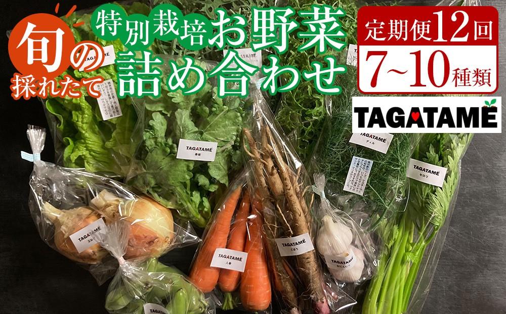 【定期便全12回】旬の採れたて 7～10種類お野菜詰め合わせセット(1～2名様)【野菜 特別栽培 1年間 栽培期間中農薬不使用 旬 採れたて 香川県 さぬき市】