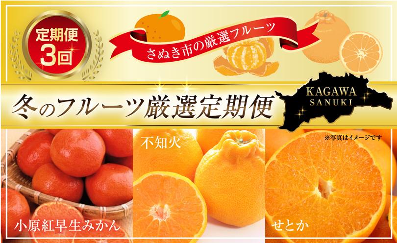 【定期便全3回】さぬき市冬のフルーツ厳選定期便(小原紅早生みかん しらぬひ せとか)【旬 人気 果物 くだもの 柑橘 香川県 さぬき市】