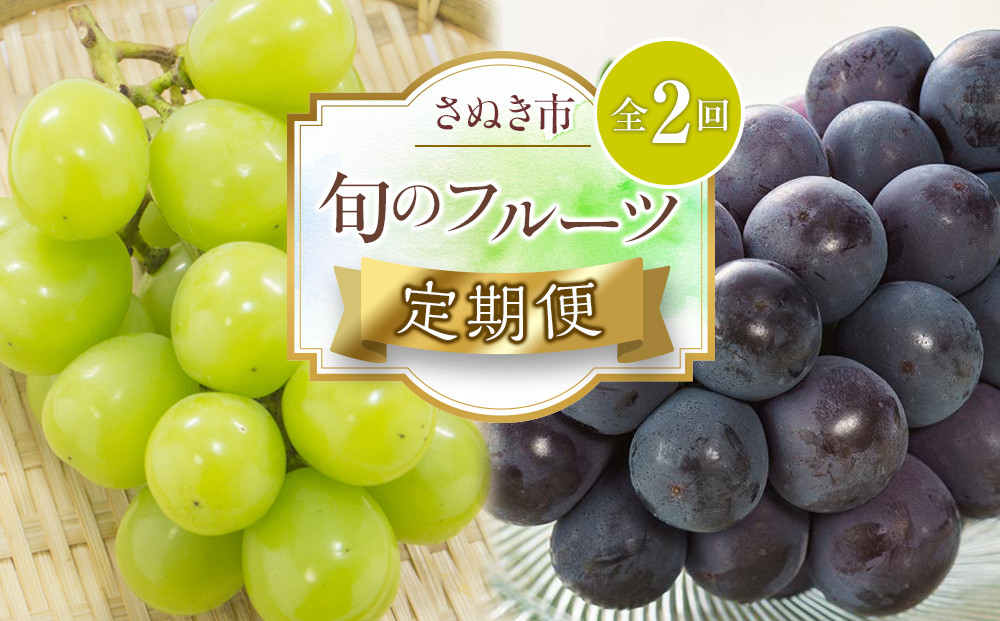 【定期便全2回】旬のフルーツ定期便&nbsp;(ニューピオーネ&nbsp;シャインマスカット)【葡萄&nbsp;ぶどう&nbsp;旬&nbsp;人気&nbsp;フルーツ&nbsp;果物&nbsp;くだもの&nbsp;香川県】