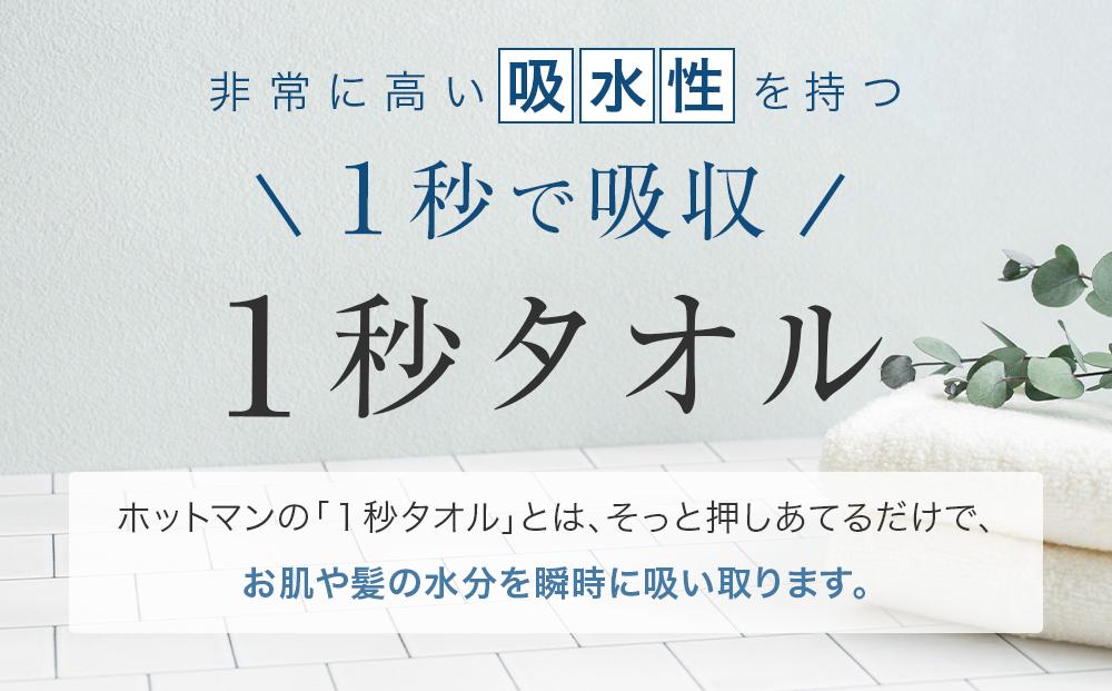 1秒タオル】ホットマンカラー ヘアバスタオル2枚セット | JTBのふるさと納税サイト [ふるぽ]