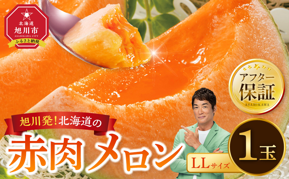 【26年発送先行予約】北海道産 赤肉メロン LLサイズ 1玉（計2.0kg以上）2026年6月下旬から発送開始予定 【 果物 くだもの フルーツ メロン 赤肉 赤肉メロン 旬 お取り寄せ 甘い 北海道産 旭川市 北海道 】_04564