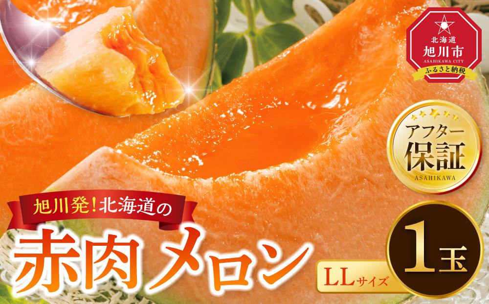【26年発送先行予約】北海道産&nbsp;赤肉メロン&nbsp;LLサイズ&nbsp;1玉（計2.0kg以上）2026年6月下旬から発送開始予定&nbsp;【&nbsp;果物&nbsp;くだもの&nbsp;フルーツ&nbsp;メロン&nbsp;赤肉&nbsp;赤肉メロン&nbsp;旬&nbsp;お取り寄せ&nbsp;甘い&nbsp;北海道産&nbsp;旭川市&nbsp;北海道&nbsp;】_04564