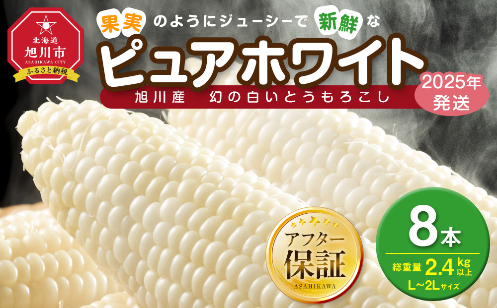【2026年先行予約】白いとうもろこしピュアホワイト&nbsp;8本&nbsp;2.4kg（2026年8月下旬から発送開始予定）【&nbsp;人気&nbsp;北海道産&nbsp;糖度&nbsp;生&nbsp;野菜&nbsp;スイートコーン&nbsp;産地直送&nbsp;バーベキュー&nbsp;BBQ&nbsp;コーン&nbsp;旬&nbsp;お取り寄せ&nbsp;旭川市&nbsp;北海道&nbsp;送料無料&nbsp;】_04559