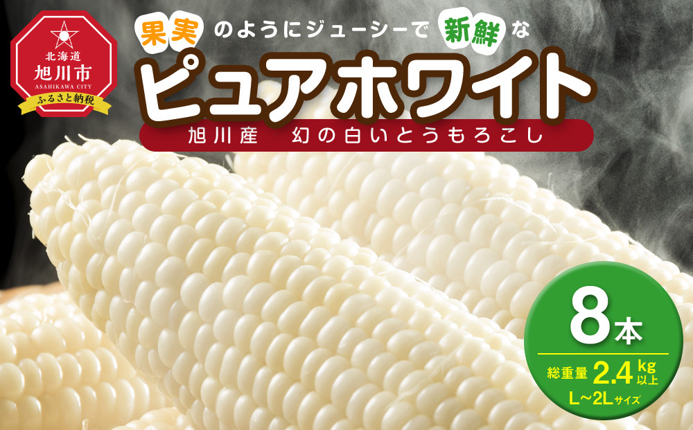 【2026年先行予約】白いとうもろこしピュアホワイト&nbsp;8本&nbsp;2.4kg（2026年8月下旬から発送開始予定）【&nbsp;人気&nbsp;北海道産&nbsp;糖度&nbsp;生&nbsp;野菜&nbsp;スイートコーン&nbsp;産地直送&nbsp;バーベキュー&nbsp;BBQ&nbsp;コーン&nbsp;旬&nbsp;お取り寄せ&nbsp;旭川市&nbsp;北海道&nbsp;送料無料&nbsp;】_04559