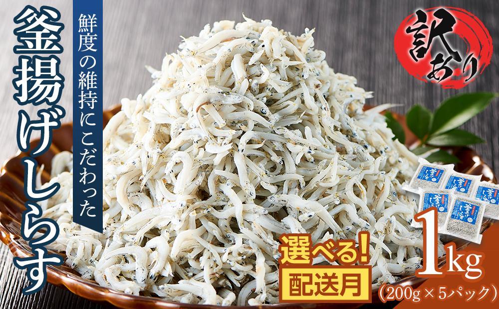 釜揚げ しらす(訳あり)1.0kg(200g×5P)【1月発送予定】