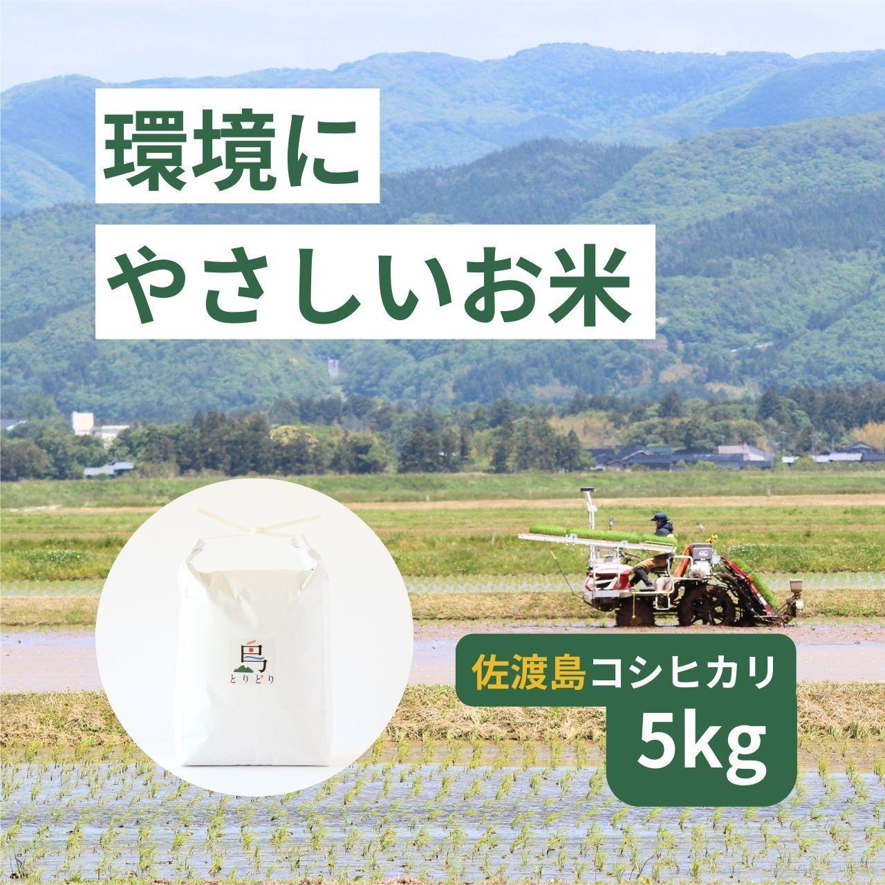 「環境にやさしい」新潟県佐渡産コシヒカリ5kg(栽培期間中農薬不使用)