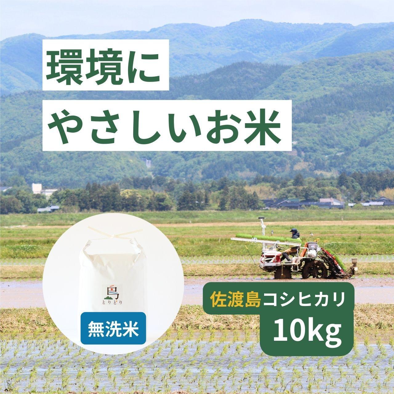 【無洗米】「環境にやさしい」新潟県佐渡産コシヒカリ10kg(栽培期間中農薬不使用)