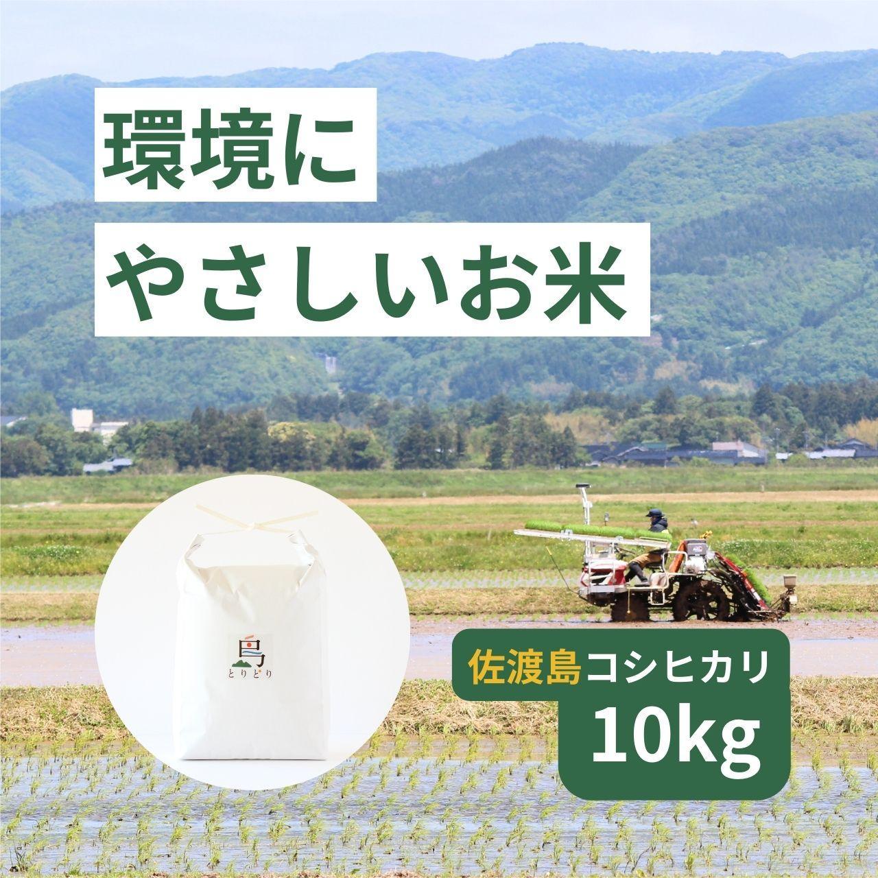 「環境にやさしい」新潟県佐渡産コシヒカリ10kg(栽培期間中農薬不使用)