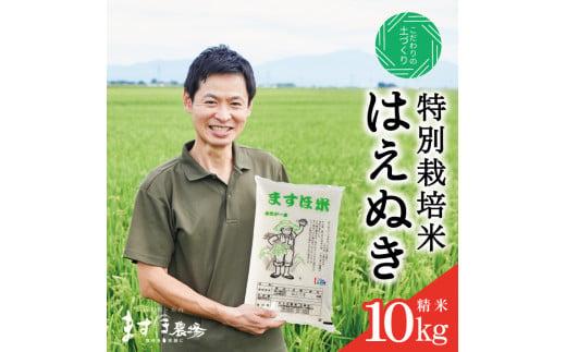 12月上旬配送／令和6年産【精米】　特別栽培米『はえぬき』10kg(5kg×2袋)［減農薬・減化学肥料］MA ＜ますほ農場＞