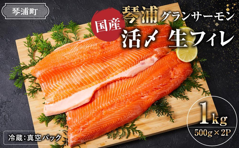 ＼国産 サーモン／ 琴浦 グランサーモン 約1kg ( 500g × 2p ) フィレ 養殖サーモン 陸上養殖 生サーモン 魚 海鮮魚介 ふるさと納税 鮭 サケ 鮮度抜群 人気 おすすめ 鳥取 グルメ 真空パック 冷蔵 ふるさと サーモン