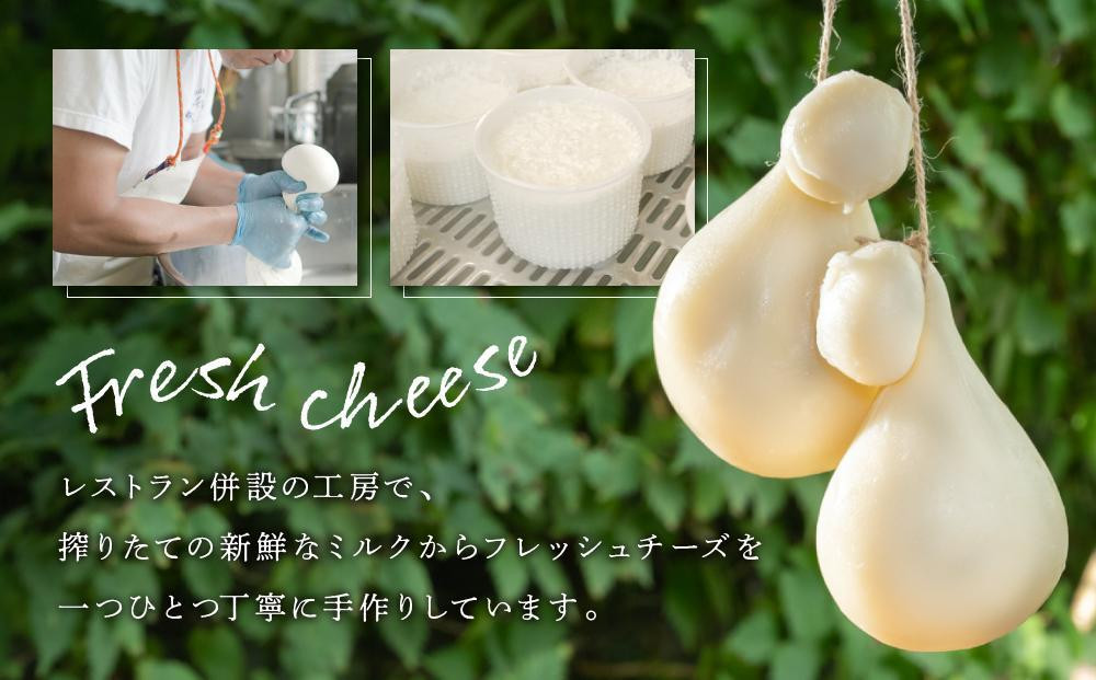 BeBe鎌倉 ジャパンチーズアワード受賞チーズセット+ BeBe鎌倉 ジャパンチーズアワード受賞チーズセット+