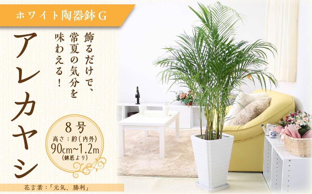 【観葉植物】アレカヤシ 8号 ホワイト陶器鉢 Ｇタイプ 土の表面:ウッドチップ ｜観葉植物 インテリア 部屋 おしゃれ 福岡県筑前町 送料無料