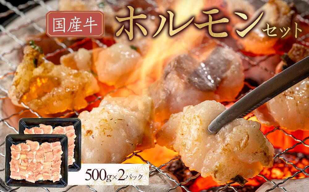 国産牛　ホルモンセット　1000g