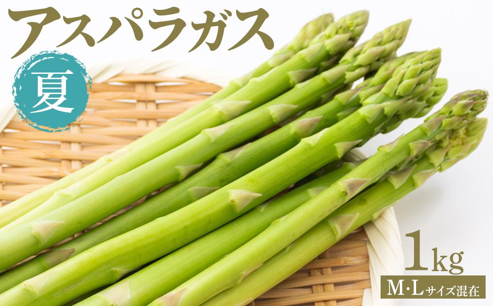 夏アスパラガス&nbsp;1kg&nbsp;M・Lサイズ混在&nbsp;2026年6月より順次発送