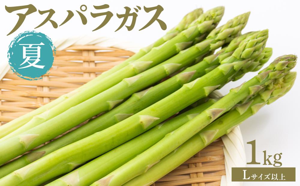 夏アスパラガス&nbsp;1kg&nbsp;Lサイズ以上&nbsp;2026年6月より順次発送