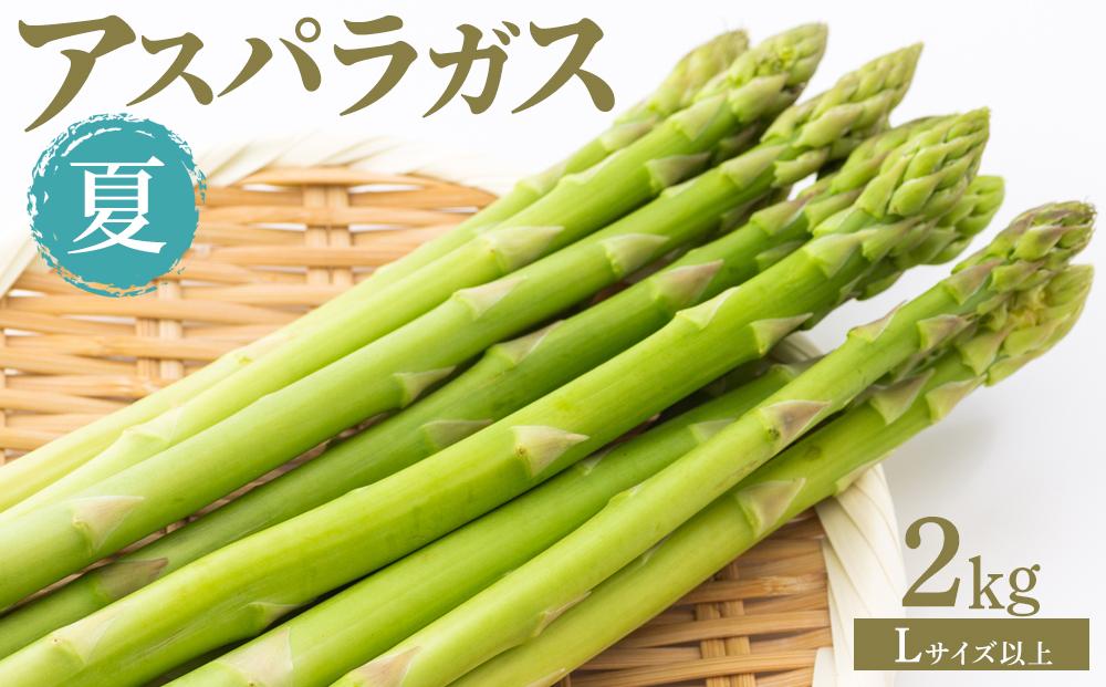 夏アスパラガス&nbsp;2kg&nbsp;Lサイズ以上&nbsp;2026年6月より順次発送