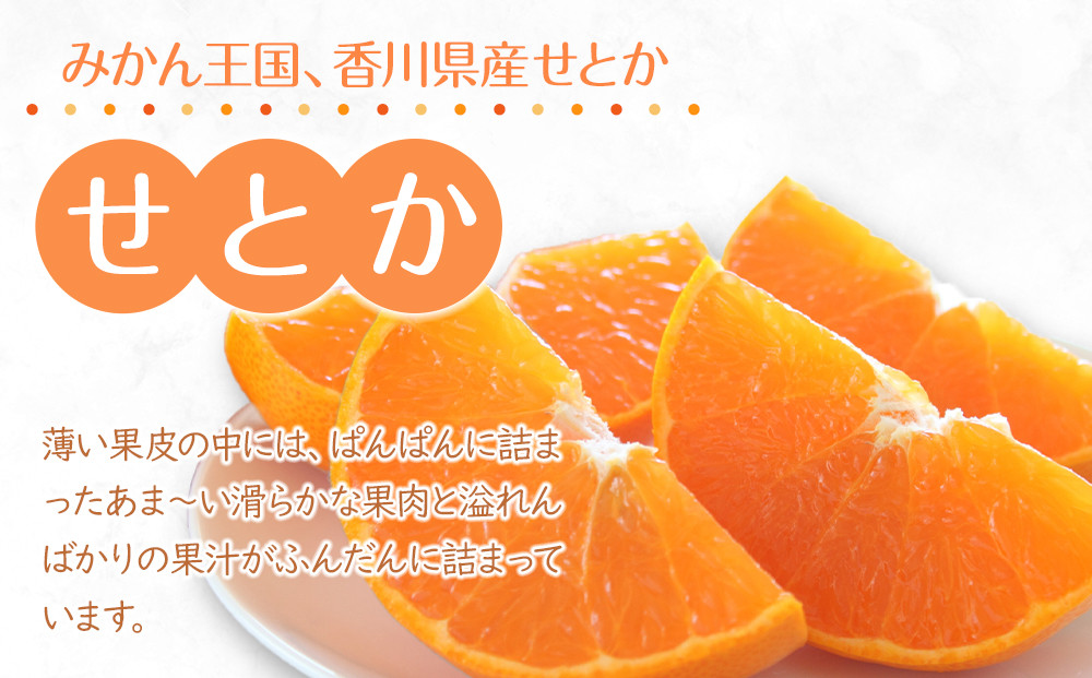 2026年2月中旬より順次発送】柑橘界の大トロ！せとか 約3kg｜果物