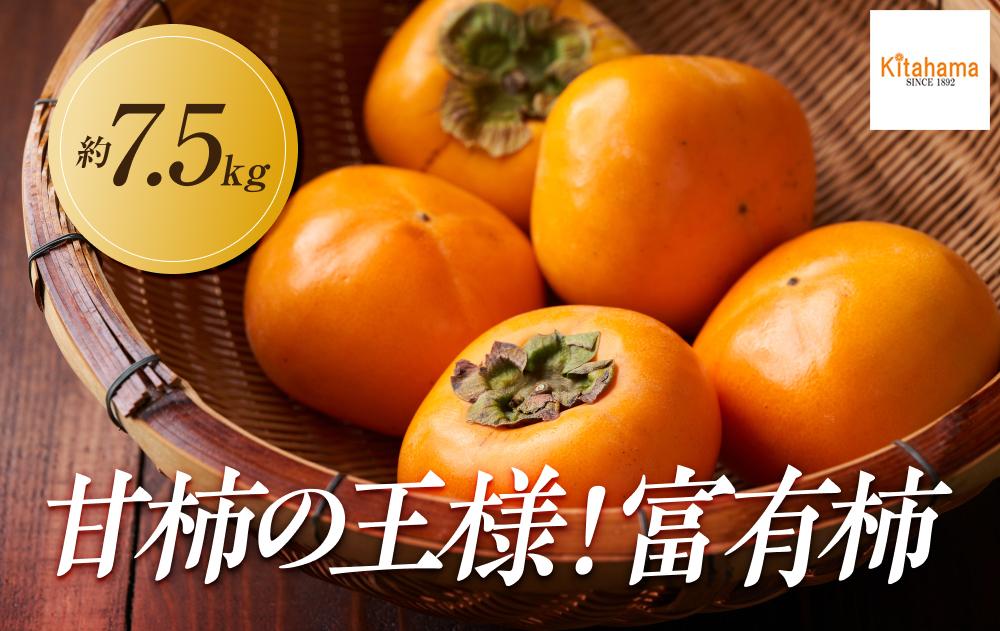 【2025年11月上旬より発送】甘柿の王様！富有柿　約7.5kg