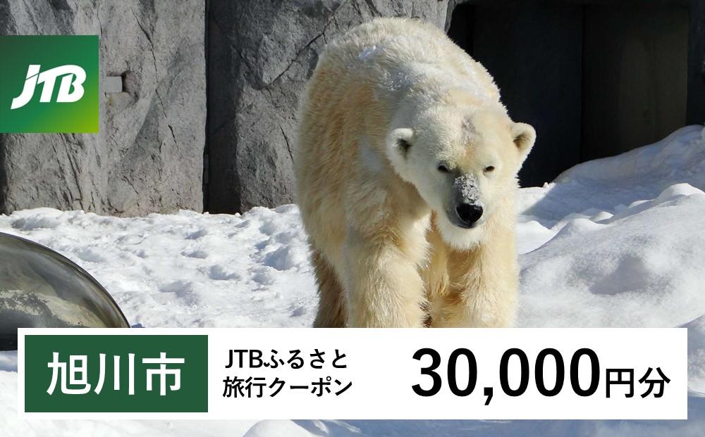 【旭川市】JTBふるさと旅行クーポン（Eメール発行）（30,000円分） 【 北海道 旭川 旅行 トラベル 宿泊 予約 人気 おすすめ 旭山 動物園 旭山動物園 ツアー ホテル 】