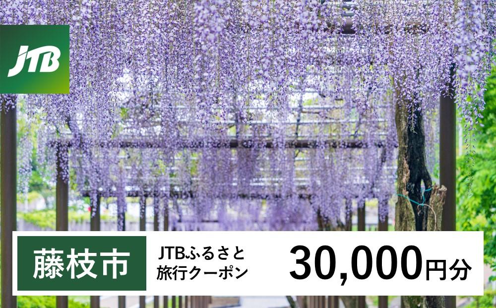 【藤枝市】JTBふるさと旅行クーポン（Eメール発行）（30,000円分）