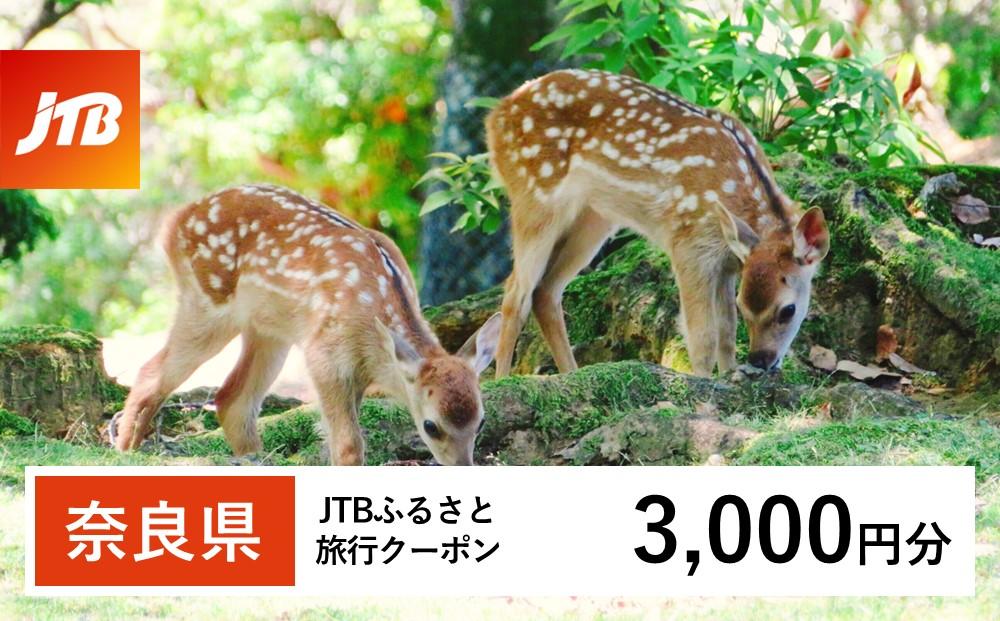 【奈良県】JTBふるさと旅行クーポン（Eメール発行）（3,000円分）