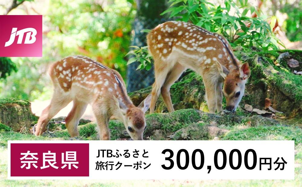 【奈良県】JTBふるさと旅行クーポン（Eメール発行）（300,000円分）