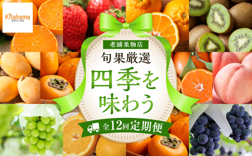 【定期便全12回】旬果厳選！四季を味わう単品定期便♪