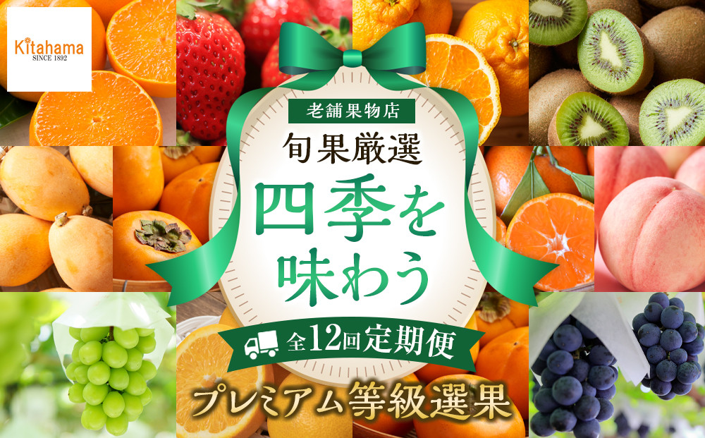 【定期便全12回】旬果厳選！四季を味わう単品定期便♪～プレミアム等級選果～