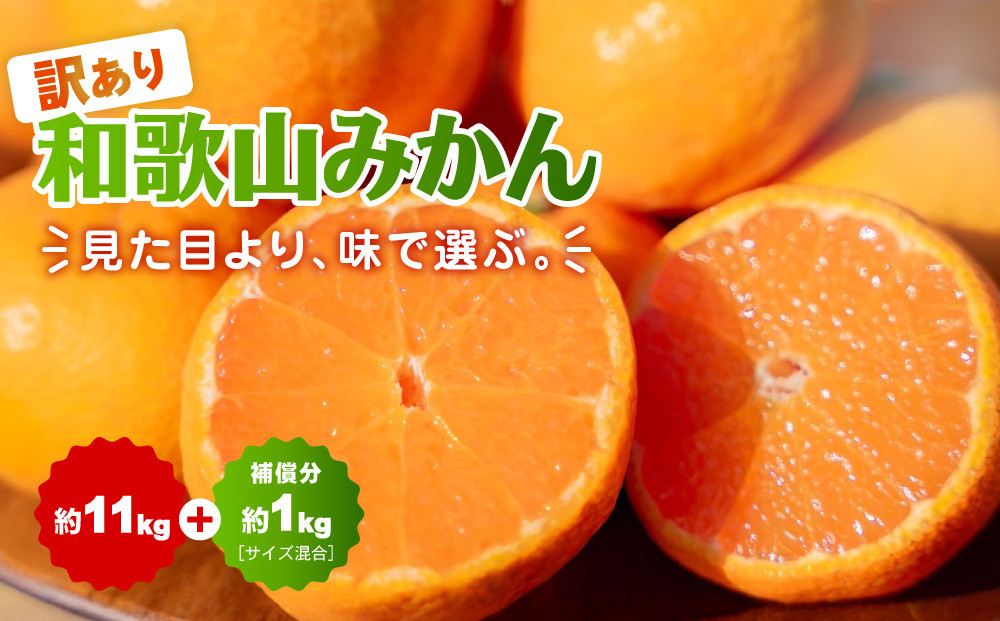 【訳あり】和歌山みかん約11kg+補償分約1kg&nbsp;サイズ混合&nbsp;11月より順次発送&nbsp;訳ありみかん&nbsp;【red2】