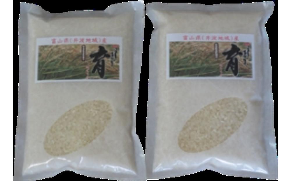 【令和6年産】使いきりパック  富山県産こしひかり 　育（はぐくみ）  白米450ｇ（３合）２個セット《南砺の逸品》