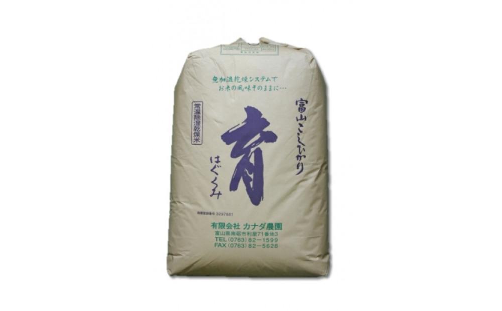 定期便・隔月６回  富山県産こしひかり 育（はぐくみ）玄米３０kg《南砺の逸品》