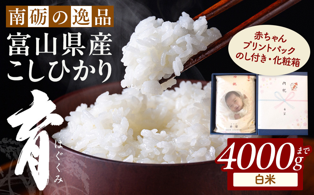 【令和7年産】プリントパック&nbsp;&nbsp;富山県産こしひかり&nbsp;　育（はぐくみ）&nbsp;&nbsp;白米　２kg&nbsp;|&nbsp;お米&nbsp;こめ&nbsp;白米&nbsp;こしひかり&nbsp;コシヒカリ&nbsp;お取り寄せ&nbsp;産地直送&nbsp;食品&nbsp;贈り物&nbsp;オリジナルパッケージ&nbsp;結婚&nbsp;出産&nbsp;記念品&nbsp;プレゼント&nbsp;ギフト&nbsp;人気&nbsp;おすすめ&nbsp;送料無料
