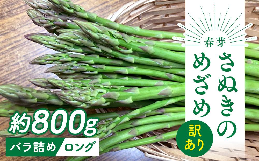 【2月中旬頃～発送】訳あり 規格外 さぬきのめざめ ロング 約800g 春芽