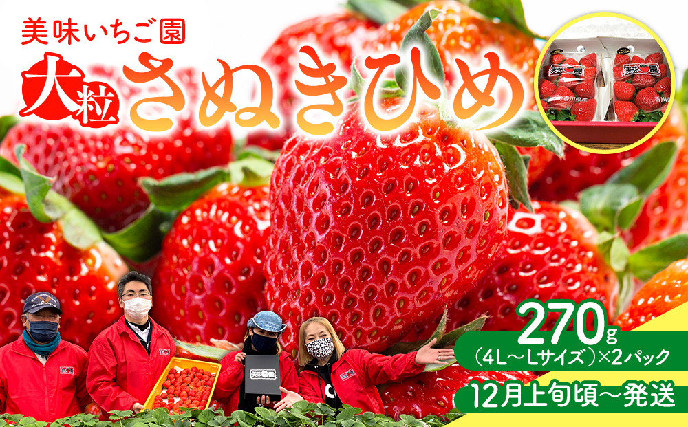 【12月上旬頃～発送】美味いちご園「さぬきひめ」大粒&nbsp;270g×2パック