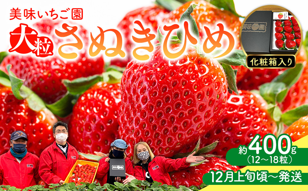 【12月上旬頃～発送】美味いちご園「さぬきひめ」化粧箱入り&nbsp;400g