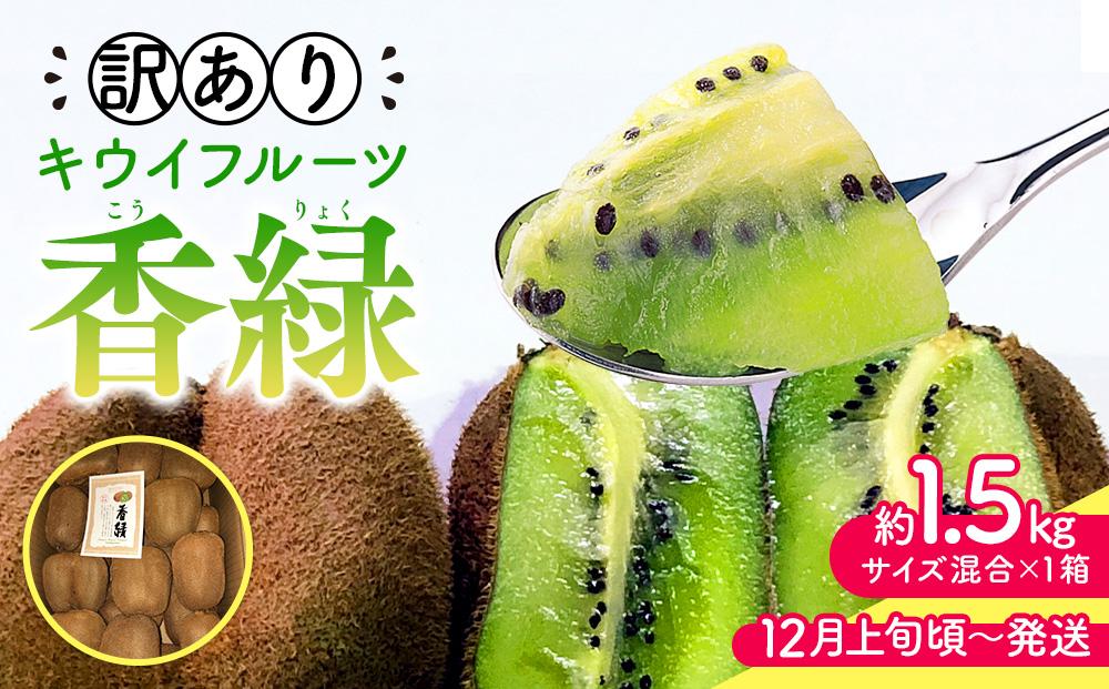 【12月上旬頃～発送】訳あり&nbsp;香緑キウイ&nbsp;約1.5kg