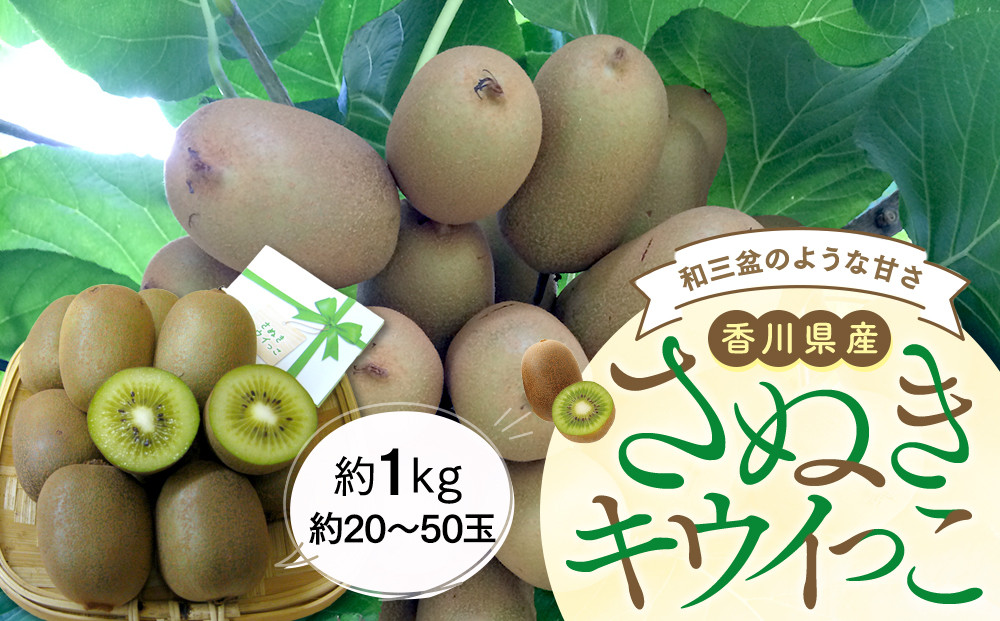 さぬきキウイっこ&nbsp;約1kg&nbsp;(約20～50玉)&nbsp;【11月上旬頃～発送】