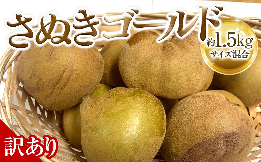 訳あり&nbsp;さぬきゴールド&nbsp;キウイ&nbsp;約1.5kg&nbsp;キウイフルーツ&nbsp;【10月中旬頃～発送】